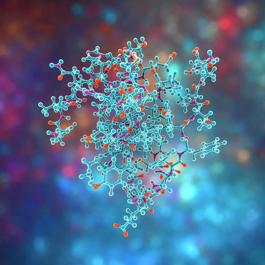 Insulin Molecule, Illustration Photograph by Kateryna Kon