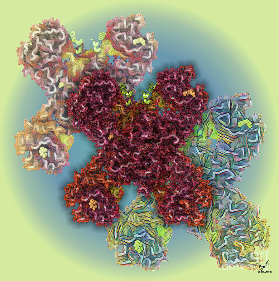 Insulin Receptor Molecule Photograph by Francisco J. Enguita/science ...