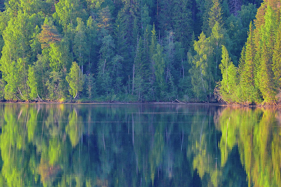 Intense Foliage Color Of Trees By A Lake, Junsele, Norrbottens Ln, Sweden Photograph by Torsten Rathjen