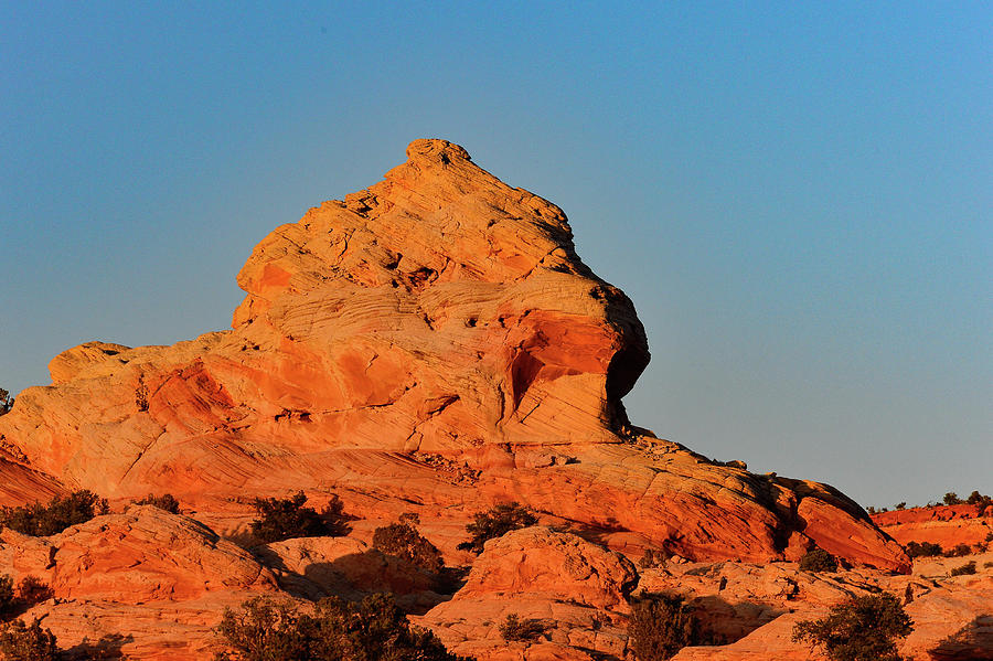 Intense Red, Striking Rocks In Red Rock State Park Near Sedona, Arizona, Usa Photograph by Torsten Rathjen
