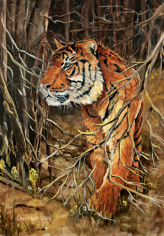 Wildlife Painting - Intense Tiger by Eileen Herb-witte