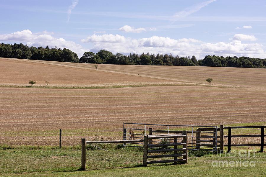 Wildlife Photograph - Intensive Farming In Arable Landscapes. by Sheila Terry/science Photo Library