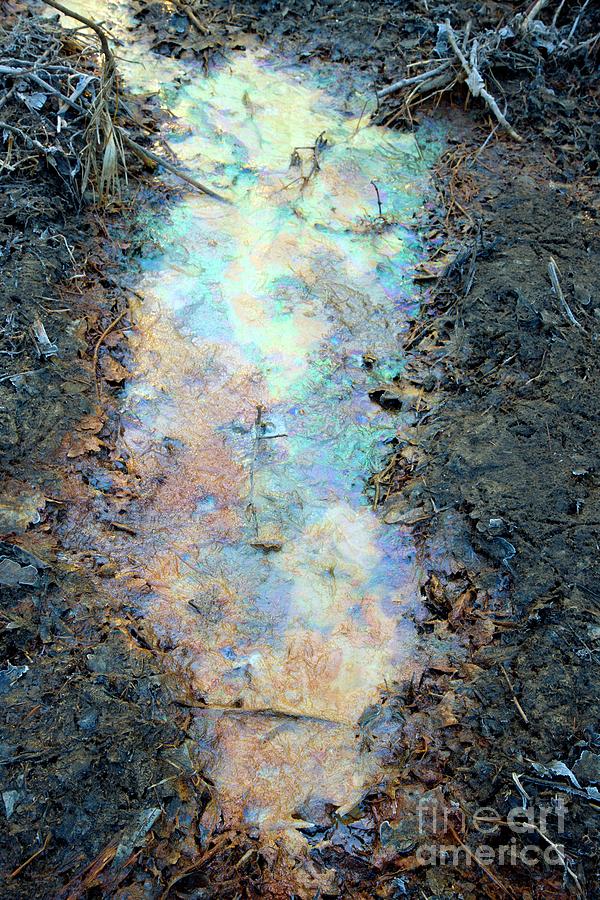 Interference Pattern Of Oil On Water Photograph by Dr Keith Wheeler/science Photo Library