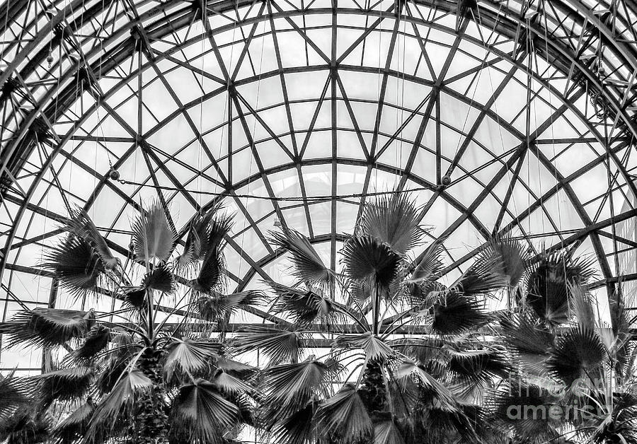 Interior Brookfield Place NYC  Photograph by Chuck Kuhn
