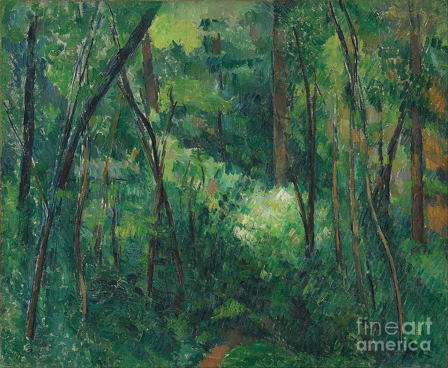 Interior Of A Forest, Ca 1885. Found Drawing by Heritage Images