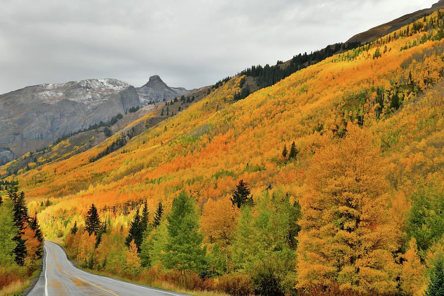 Intermittent Light on Fall Colors along Million Dollar Highway Photograph by Ray Mathis