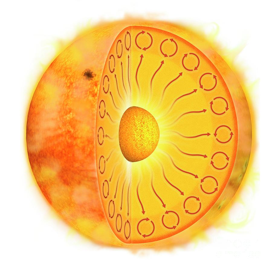 Internal Structure Of The Sun by Tim Brown/science Photo Library