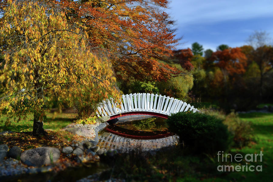 Fall Photograph - International Friends Garden Bridge by Amy Lucid