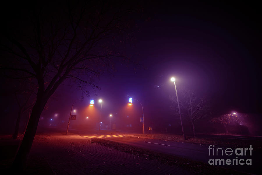 Intersection At Night In Fog Photograph by Wladimir Bulgar/science Photo Library