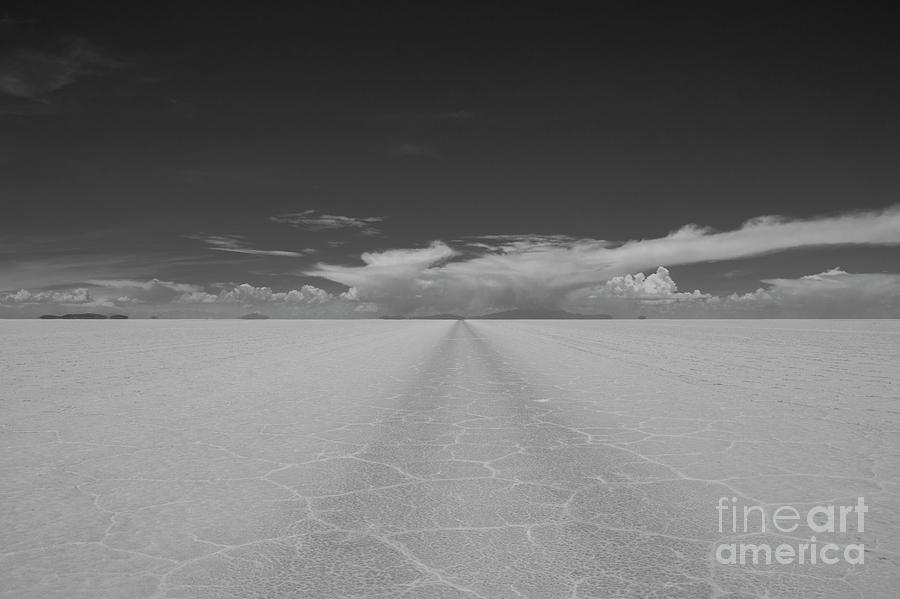 Into the Desert Photograph by Brian Kamprath