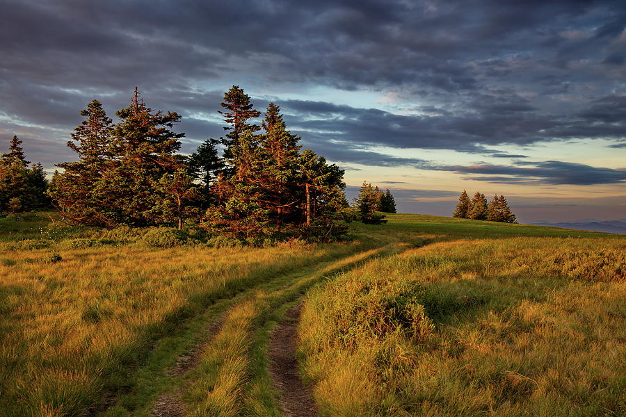 Into the evening by Ren Kuljovska Into the evening by Ren Kuljovska