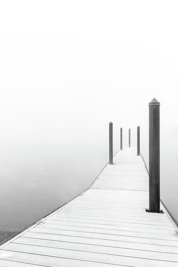Into the Fog by Douglas Tate Into the Fog by Douglas Tate