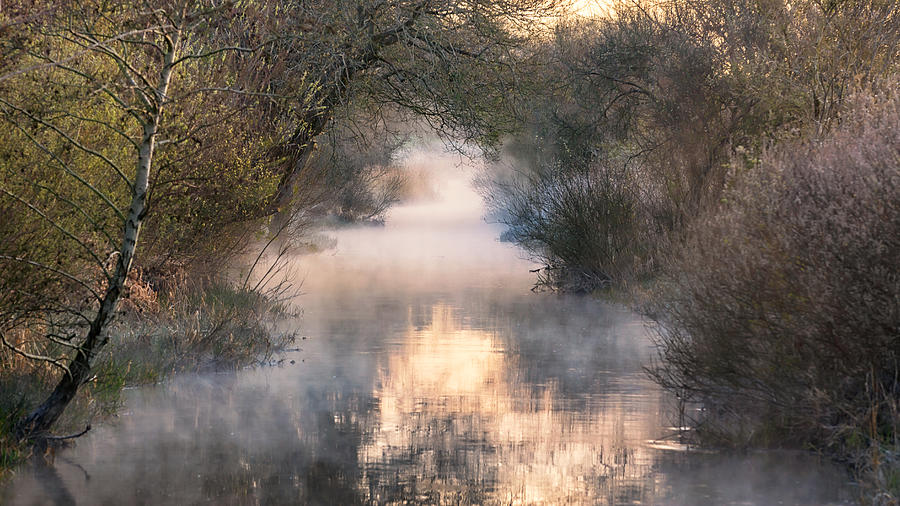Into The Fog. Photograph by Leif Lndal