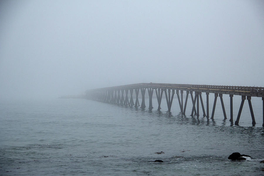California Photograph - Into The Fog by Marie Leslie California Photograph - Into The Fog by Marie Leslie