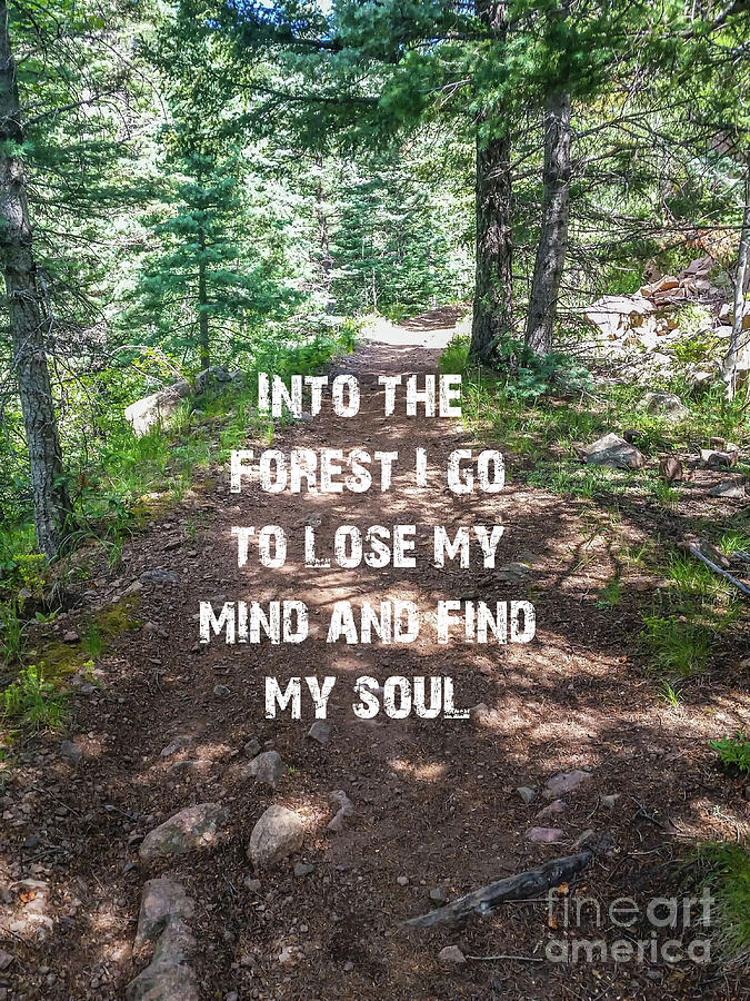 Into The Forest by Tony Baca Into The Forest by Tony Baca