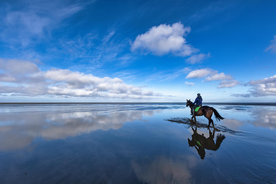 Horse Photograph - Into The Great Wide Open by Andreas Klesse