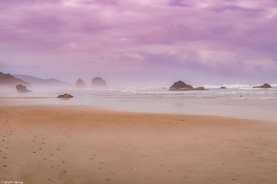 Into the Mist by Gaylon Yancy Into the Mist by Gaylon Yancy