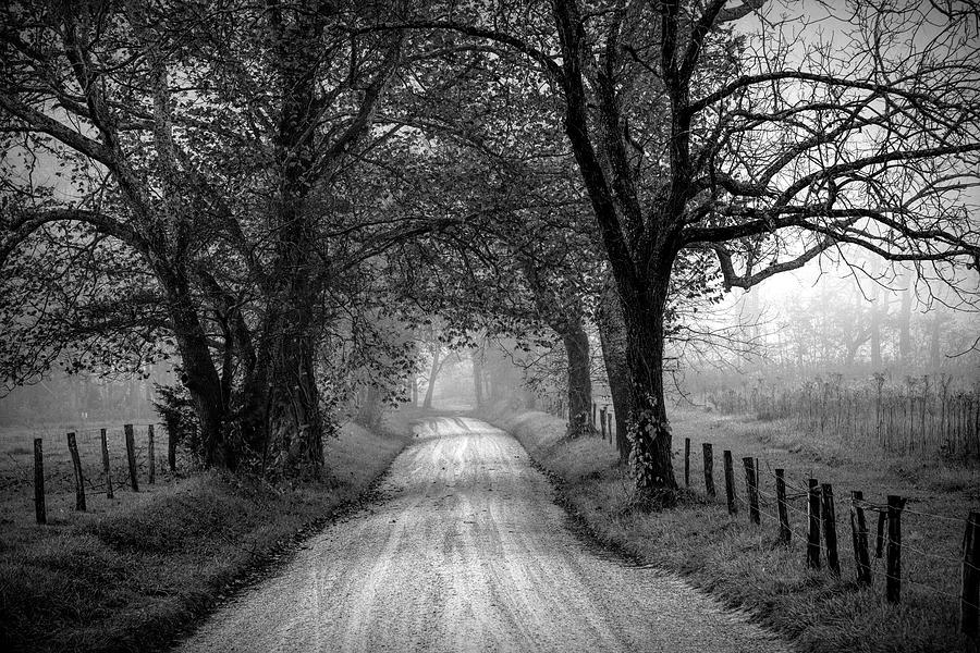 Into the mist of the Unknown Photograph by Allen Penton | Fine Art America