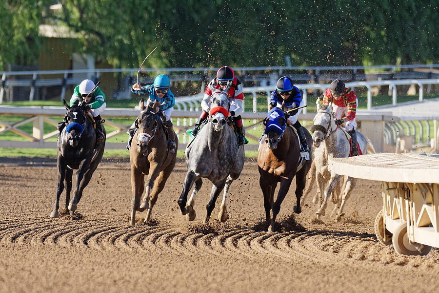 Into the Stretch -- Race Horses at Santa Anita Park, California Photograph by Darin Volpe