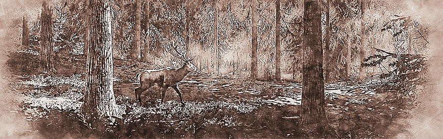 Into the Wild - 18 Painting by AM FineArtPrints