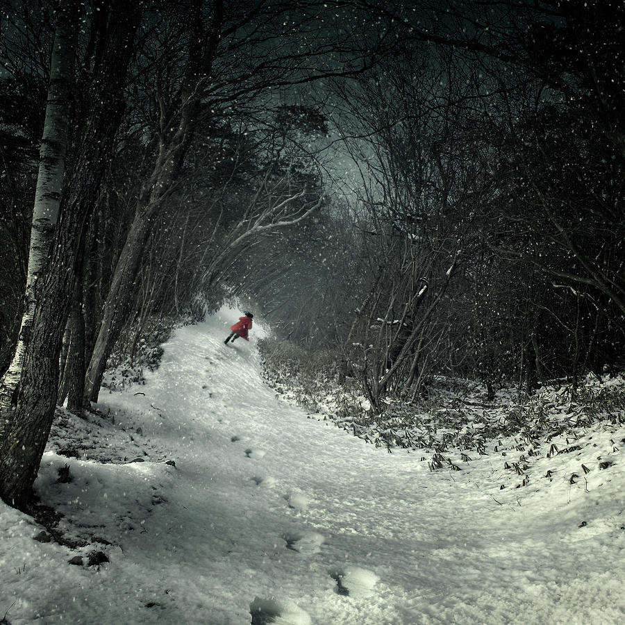 Winter Photograph - Into The Winter Forest by Kiyo Murakami