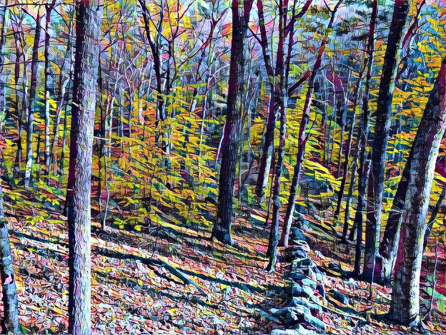 Into the Woods #1 Digital Art by Steve Glines