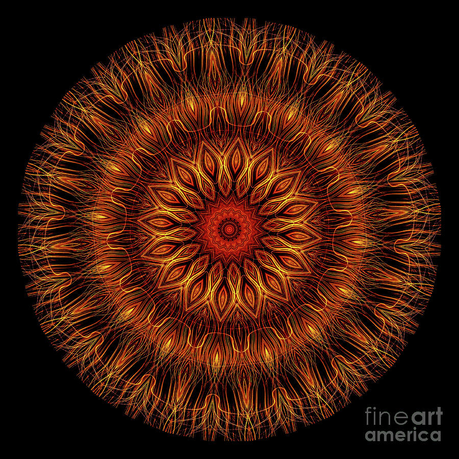 Intricate 12 orange, red and yellow mandala kaleidoscope Digital Art by Amy Cicconi