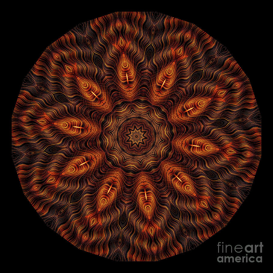 Intricate 23 orange, red and yellow mandala kaleidoscope Digital Art by Amy Cicconi