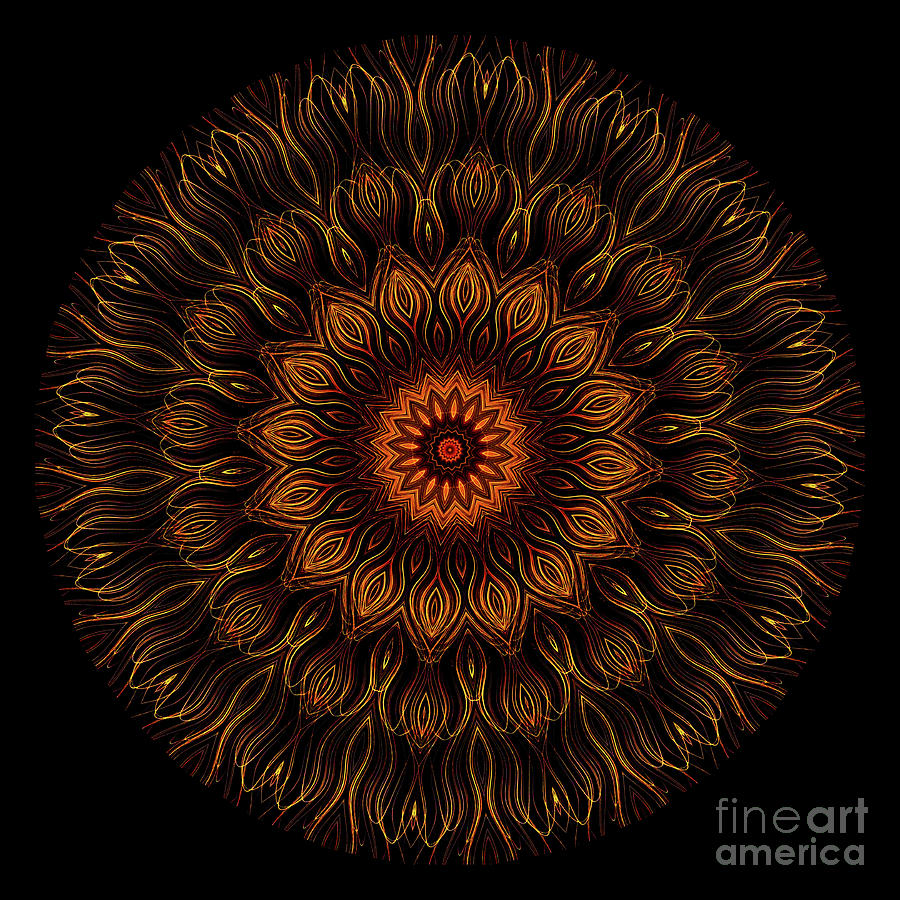 Intricate 32 orange, red and yellow mandala kaleidoscope Digital Art by Amy Cicconi