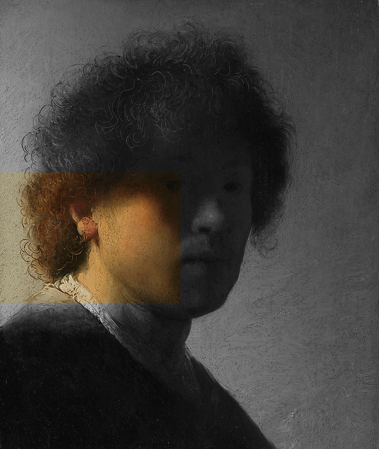 Inv Blend 16 Rembrandt Digital Art by David Bridburg