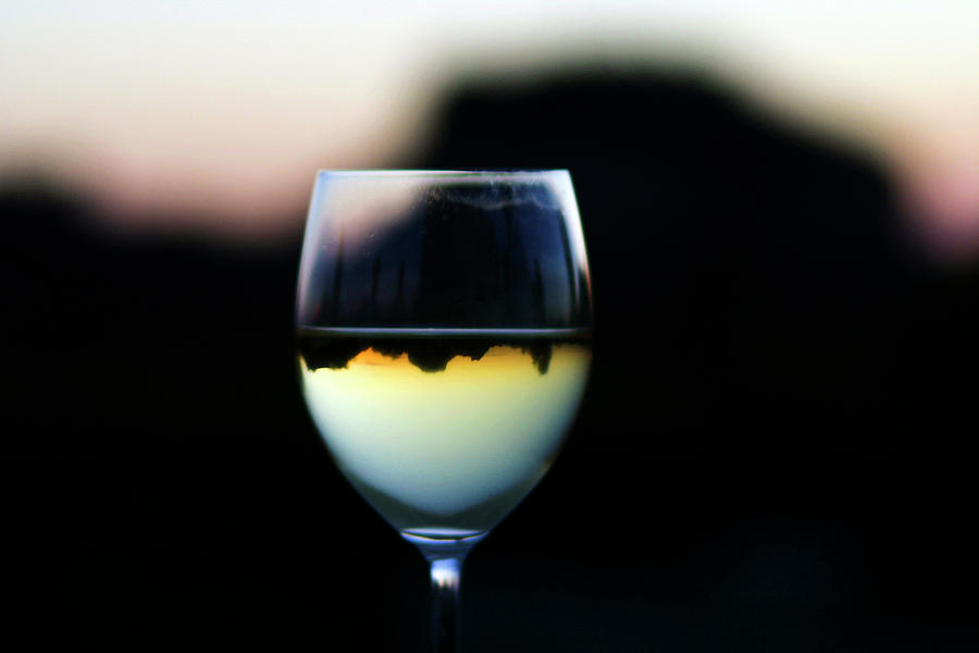 Inverted Landscape in Wine Glass Photograph by Ron Chilston