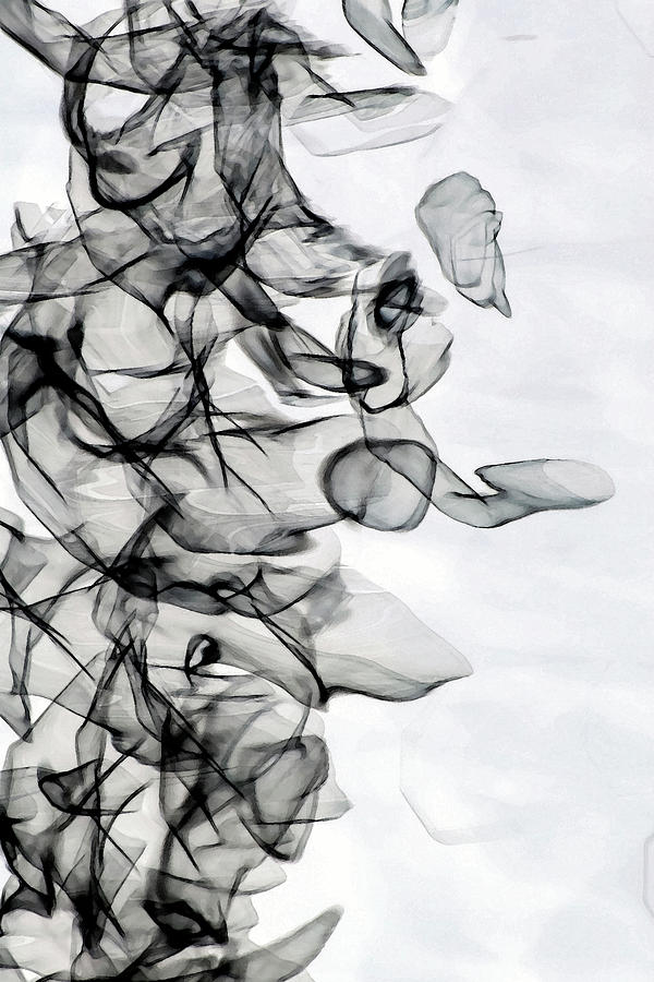 Abstract Nature Photograph - Inverted Reflection Abstract 535 by Craig Royal