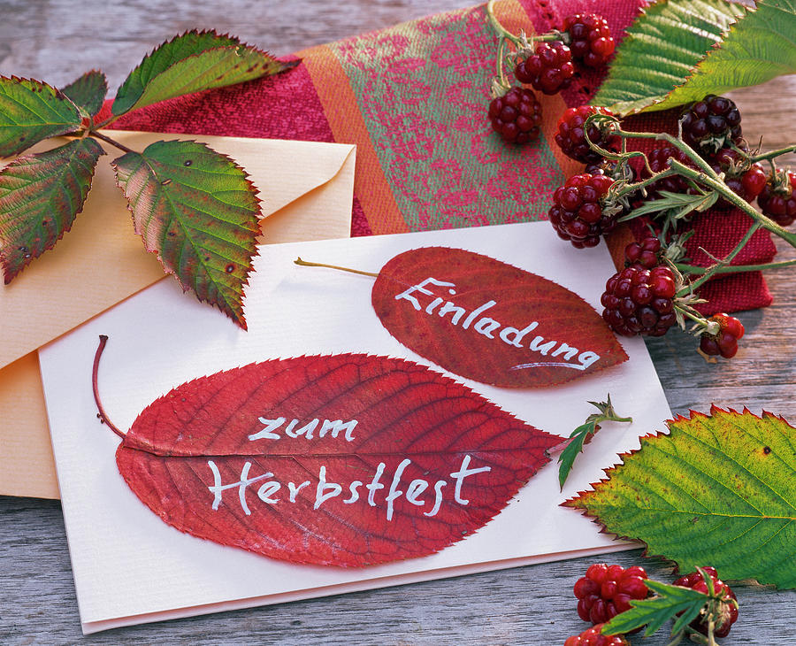 Invitation To The Autumn Festival On Pressed Prunus Leaves Photograph by Friedrich Strauss