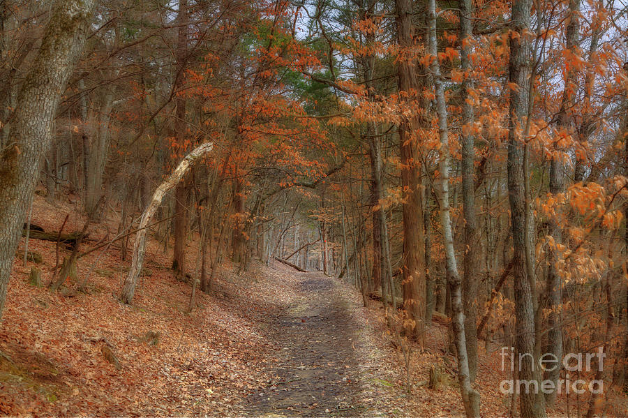 Park Photograph - Inviting by Larry Braun Park Photograph - Inviting by Larry Braun