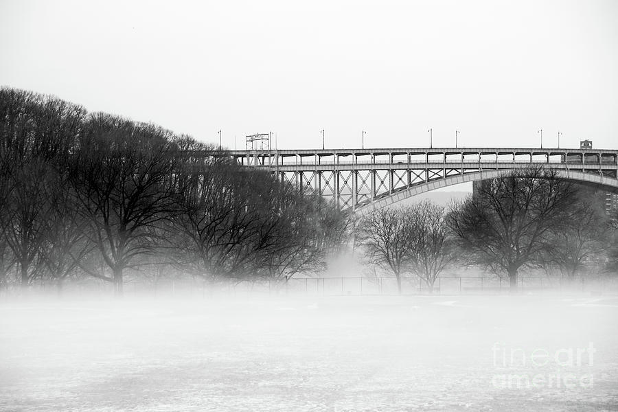 Inwood Hill with Fog Photograph by Cole Thompson
