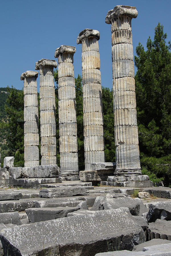 Ionic columns Temple of Athena  Photograph by Steve Estvanik