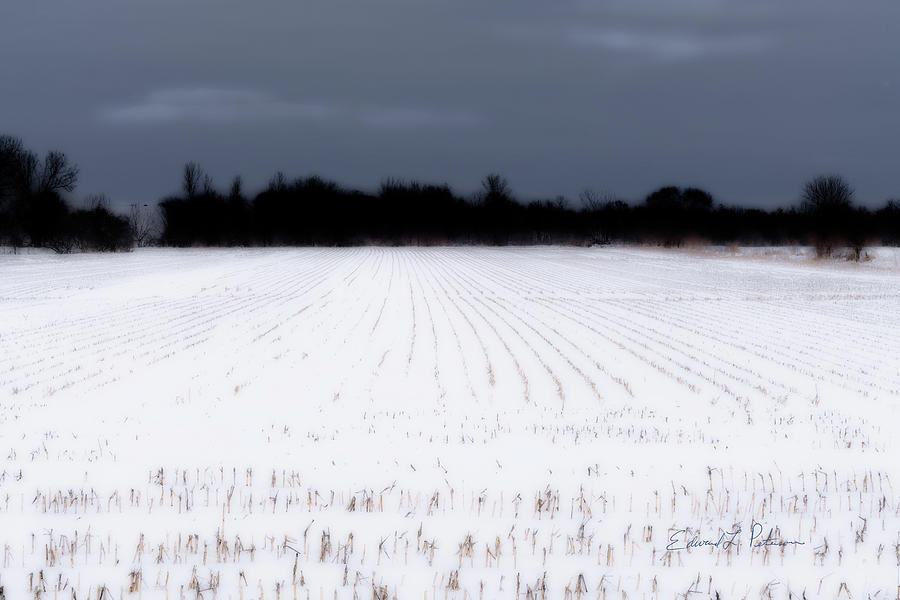 Iowa Fields At Rest by Edward Peterson Iowa Fields At Rest by Edward Peterson