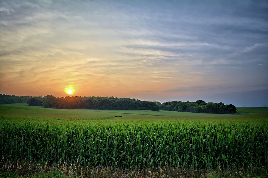 Iowa Gold 2 Photograph by Bonfire Photography - Fine Art America