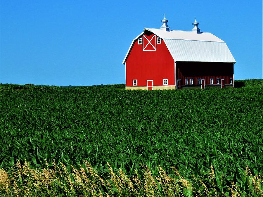 Iowa Red White and Blue Photograph by Lori Frisch