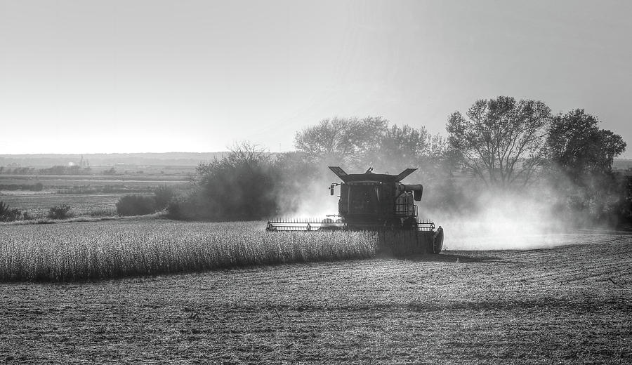 Iowa Soybean Picking Photograph by J Laughlin