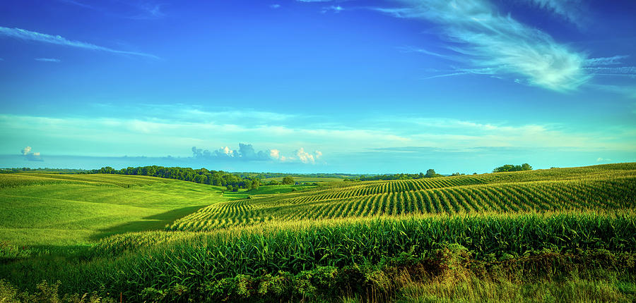 Iowa's Rural Beauty Photograph by Mountain Dreams - Pixels