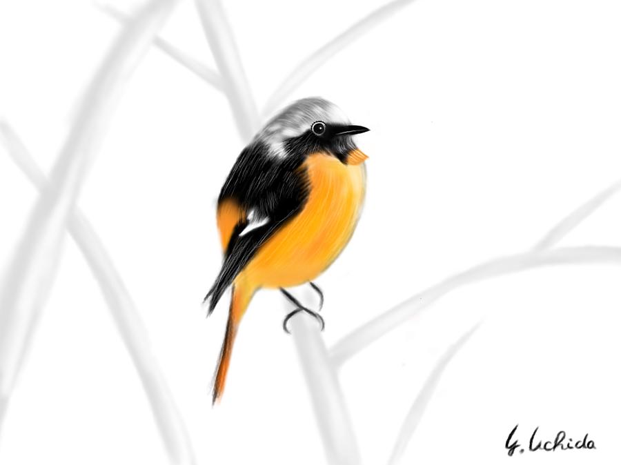 Ipad Painting - iPad sketch 1.29.19 bird by Yoshiyuki Uchida Ipad Painting - iPad sketch 1.29.19 bird by Yoshiyuki Uchida