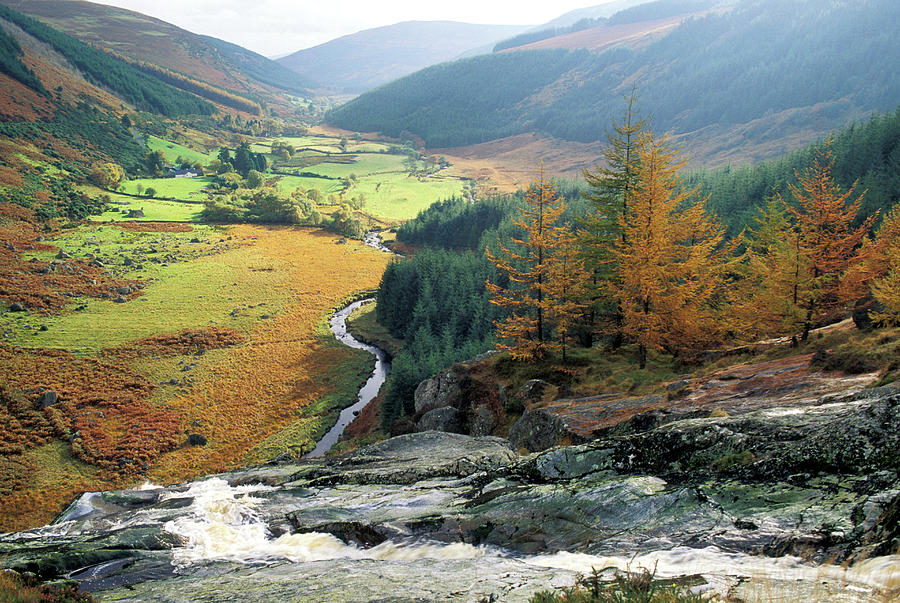 Ireland, County Wicklow, Southeast Photograph by Steve Bly