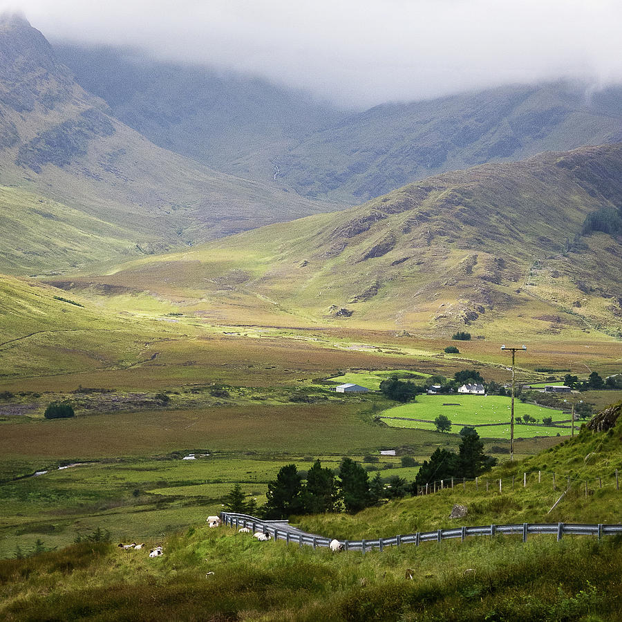 Ireland Dreaming Photograph by Candace Freeland - Fine Art America