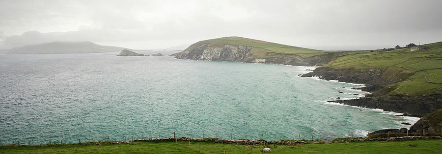 Irelands Dingle Peninsula Photograph by Danielle D. Hughson