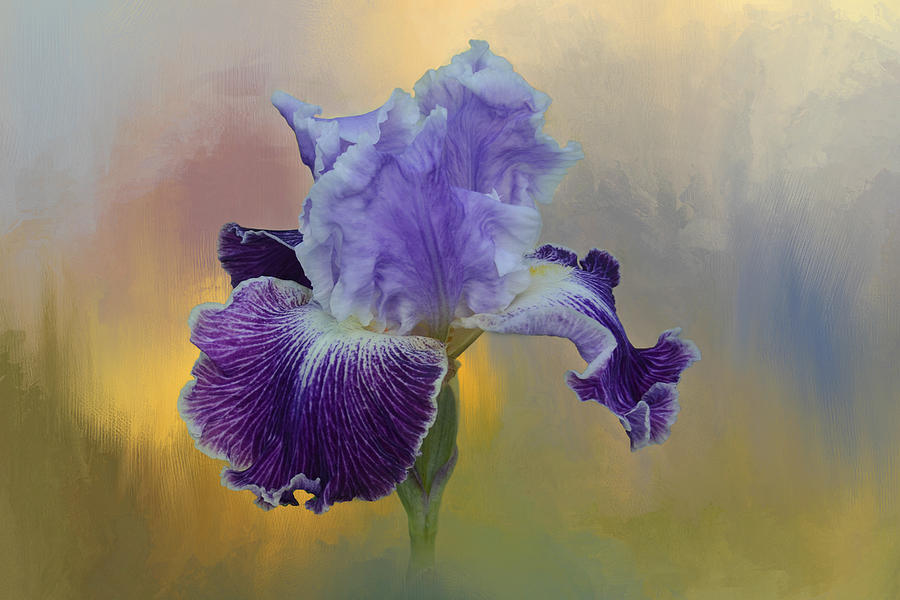 Nature Mixed Media - Iris 024 by Isabela and Skender Cocoli