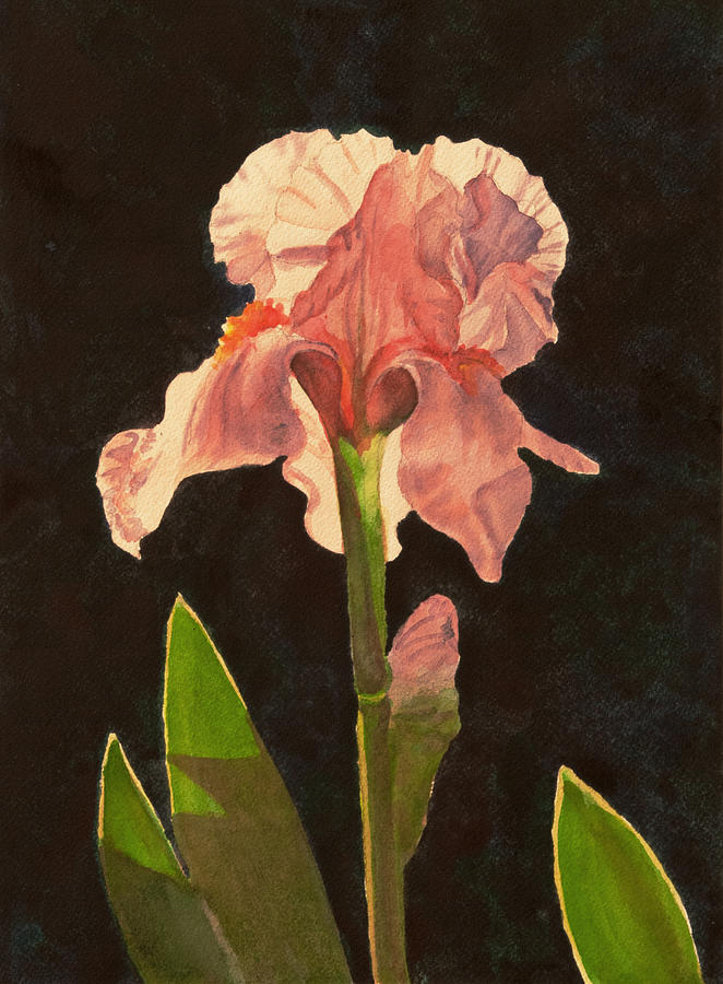 Iris 3 Painting by Heidi E Nelson