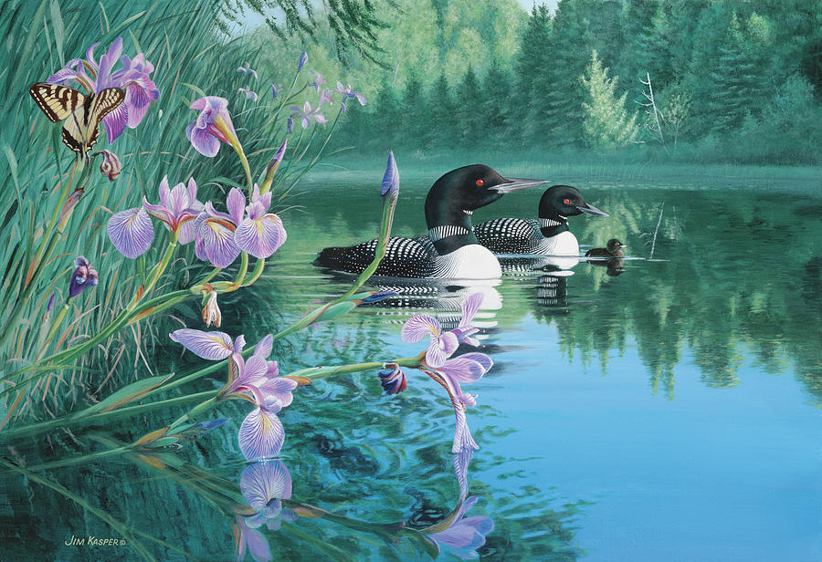 Loon Painting - Iris Cove by Wild Wings