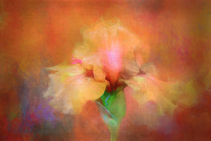 Iris Expression Digital Art by Terry Davis