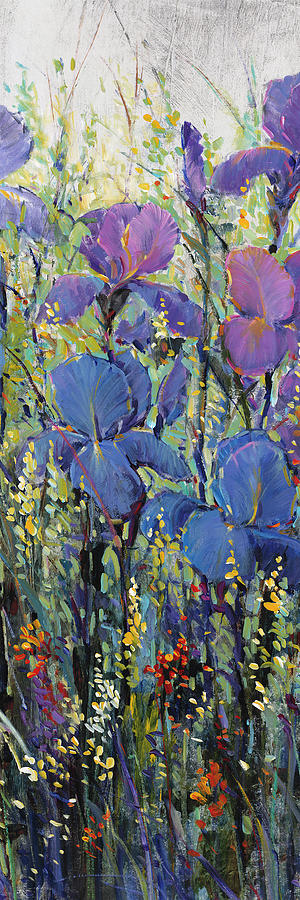 Iris Field Ii Painting By Tim Otoole